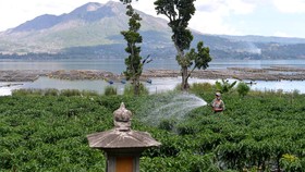 Nilai Tukar Petani Naik 0,42 Persen per Maret 2022