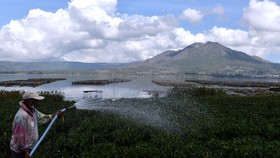 Nilai Tukar Petani Anjlok 2,81 Persen per Mei 2022