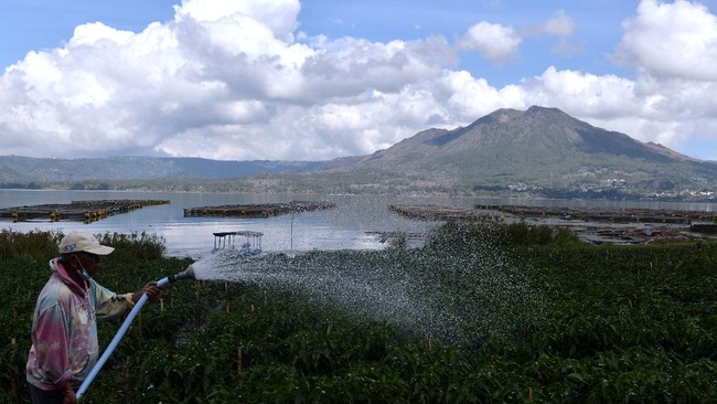 BPS mencatat nilai tukar petani turun 2,81 persen menjadi 105,41 per Mei 2022.