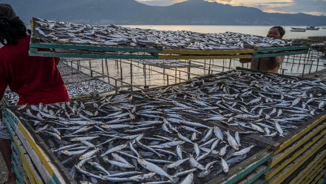 Dana tersebut akan digunakan untuk meningkatkan platform eFishery.