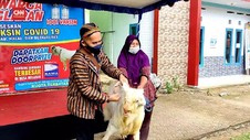 VIDEO: Tarik Minat Warga Pacitan, Vaksinasi Berhadiah Kambing