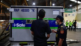 Indonesia Terima 6 Batch Vaksin dari Jepang, Datang Bertahap