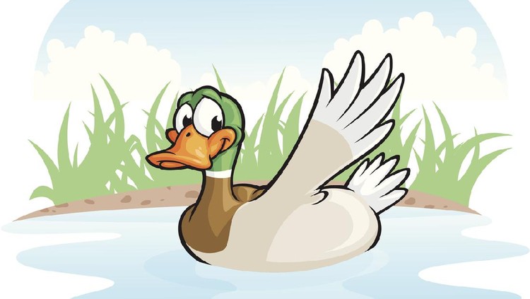 Ilustrasi bebek