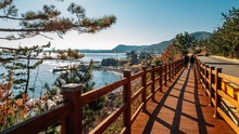 Trip ke Korea Pakai Allo Bank Diskon 5 Persen, Pesan di AntaVaya