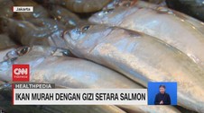VIDEO: Ikan Murah Dengan Gizi Setara Salmon