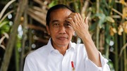 Greenpeace soal MA Bebaskan Jokowi Terkait Karhutla: Gelap Sekali