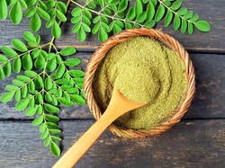 10 Tanaman Obat Sejuta Manfaat yang Bisa Kamu Tanam di Rumah