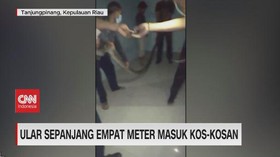 VIDEO: Ular 4 Meter Masuk Kos Mahasiswa