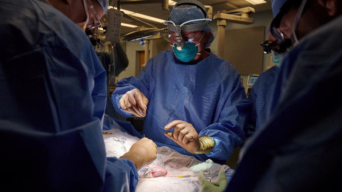 Dokter Beberkan Tantangan Transplantasi Ginjal di Indonesia