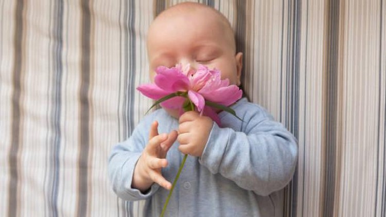 Meskipun menantikan Si Kecil, Bunda bisa kok memberikannya nama bayi laki-laki yang terinspirasi dari nama bunga. Penasaran? Yuk simak pilihannya Bunda.