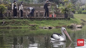 FOTO: Nakes RS Wisma Atlet Covid Relaksasi ke TMII Jakarta