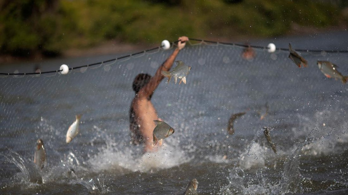 FOTO: Kuarup, Ritual Pemakaman Suku Asli Amazon