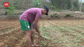 VIDEO: Kembali ke Ladang Usai Raih Medali Emas PON XX Papua