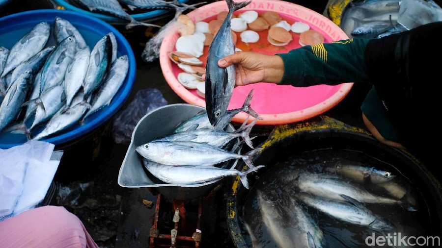 Ingin membeli hasil laut yang masih segar? Cobalah datang ke Pasar Tawang, Kabupaten Kendal, Jateng ini. Beragam jenis ikan tersedia lengkap.





Pasar Tawang di Desa Gempolsewu, Kecamatan Rowosari, Kabupaten Kendal, Jawa Tengah, menjual aneka ikan dan hasil laut lainnya yang masih segar.
