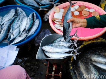 Daftar 15 Jenis Ikan Berbahaya yang Mengandung Merkuri Tinggi