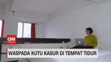 VIDEO: Waspada Kutu Kasur di Tempat Tidur