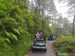 Tur Sehari di Kabupaten Magelang, Bisa Jelajah di Lereng Merapi-Merbabu-Telomoyo