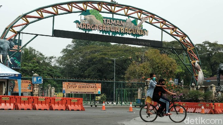 Syarat Masuk Ragunan Oktober 2021, Buka Sabtu! Syarat Masuk Ragunan Oktober 2021, Buka Sabtu!