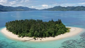Pulau Kecil di Papua Barat yang Dihuni Ribuan Kelelawar