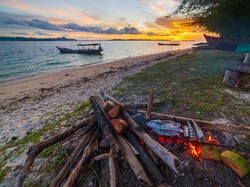 Ada Anjing Ditangkap dan Mati di Pulau Banyak, #Aceh Gaduh di Twitter
