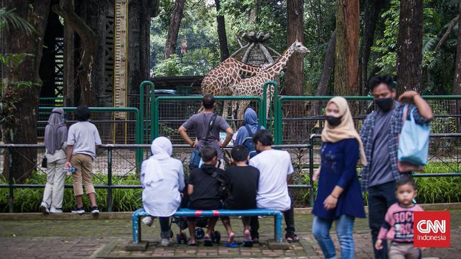 Staf Pelayanan dan Hubungan Masyarakat (Humas) Taman Margasatwa Ragunan Wahyudi Bambang mengatakan lonjakan pengunjung masih terkendali.