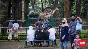 Antusias Warga Bawa Keluarga ke Ragunan yang Dibuka Kembali