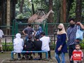 Antusias Warga Bawa Keluarga ke Ragunan yang Dibuka Kembali