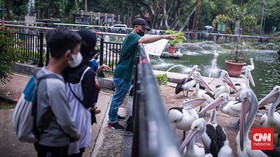 Taman Margasatwa Ragunan Buka Lagi, 4.901 Orang Berkunjung