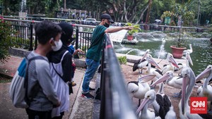 Taman Margasatwa Ragunan Buka Lagi, 4.901 Orang Berkunjung