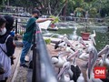 Taman Margasatwa Ragunan Buka Lagi, 4.901 Orang Berkunjung