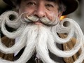 FOTO: Adu Aneh Bentuk Kumis dan Janggut di Jerman