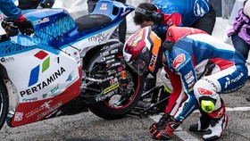 Bendsneyder Buta Karakter Sirkuit Mandalika