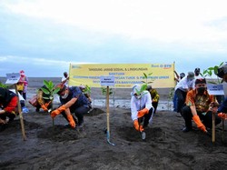 Pantai Cemara Bersolek Menuju Banyuwangi Rebound