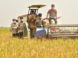 Hari Pangan Sedunia 16 Oktober 2023: Sejarah, Tujuan, dan Tema Peringatan