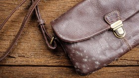 Cara Membersihkan Tas Kulit yang Berjamur