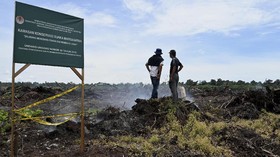 FOTO: Kebun Sawit Usik Suaka Margasatwa Rawa Singkil