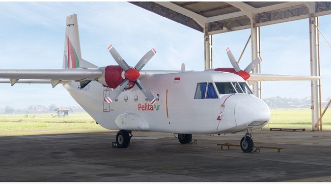 Pemerintah dikabarkan punya opsi untuk mengganti operasional maskapai PT Garuda Indonesia (Persero) Tbk dengan PT Pelita Air Service (PAS).