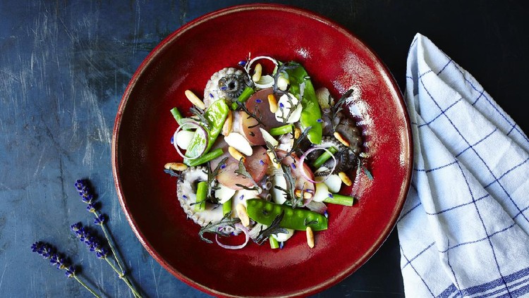 Octopus salad with green beans and onion. Red plate standing on the middle of the frame. Surface is a dark blue metal surface with a cloth on side.