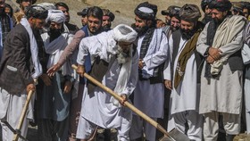 Taliban Buka Lowongan Kerja dengan Upah Gandum