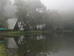 5 Destinasi Murah Dijamin Seru dan Bagus di Bogor, Bujet Rp 0-500 Ribu