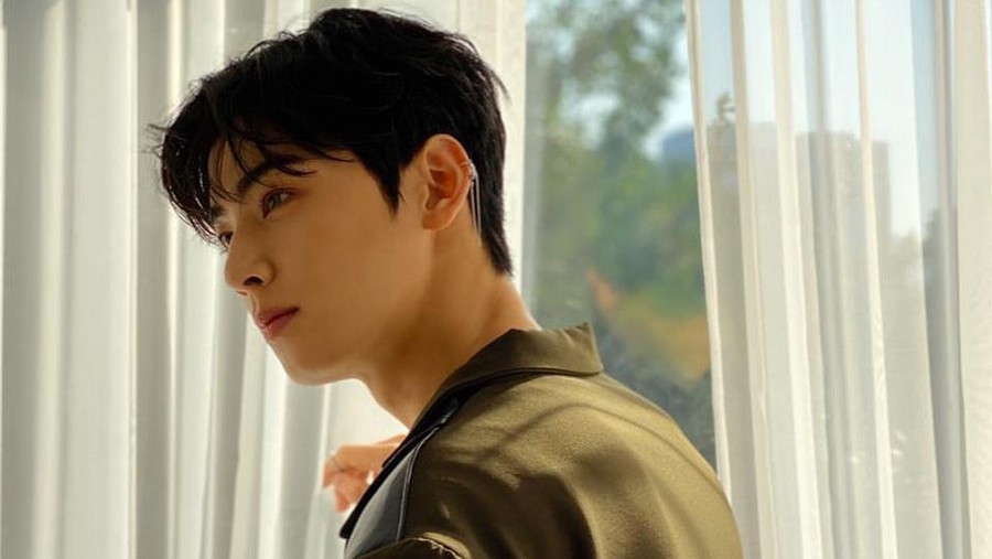 Cha Eun Woo
