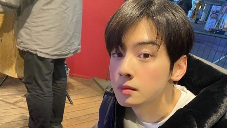 Cha Eun Woo