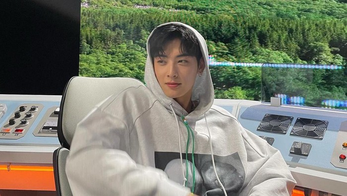 Cha Eun Woo