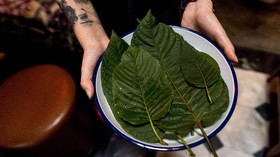 FOTO: Bar di Thailand Racik Mocktail dari Daun Kratom