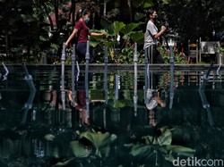 Terapi Murah untuk Orang Kesepian: Jalan-jalan di Alam