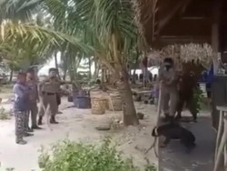 Murka Bupati Sebab Anjing Canon Mati Diviralkan di Dunia Maya