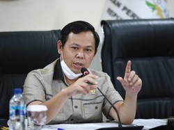 Food Estate Rambah Hutan Primer, Waket DPD Minta Pemerintah Evaluasi