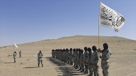 Relasi Jamaah Islamiyah, Taliban dan Al Qaeda