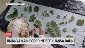 VIDEO: Uniknya Kain Ecoprint Bernuansa Daun