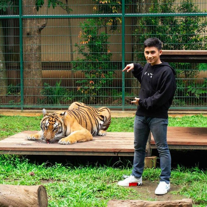 <p>Satwa-satwa jinak seperti rusa dibiarkan berkeliaran dengan bebas di halaman rumahnya. Sementara itu, satwa liar seperti harimau, serigala, binturong, dan burung unta diberi kandang sendiri agar tetap aman. Keluarga Alshad sudah berpengalaman di bidang satwa liar dan telah memiliki izin khusus untuk melakukan konservasi hewan. (Foto: dok. Instagram @alshadahmad)</p>